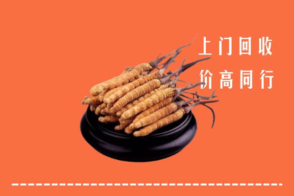 高价求购：金华市磐安县回收散虫草
